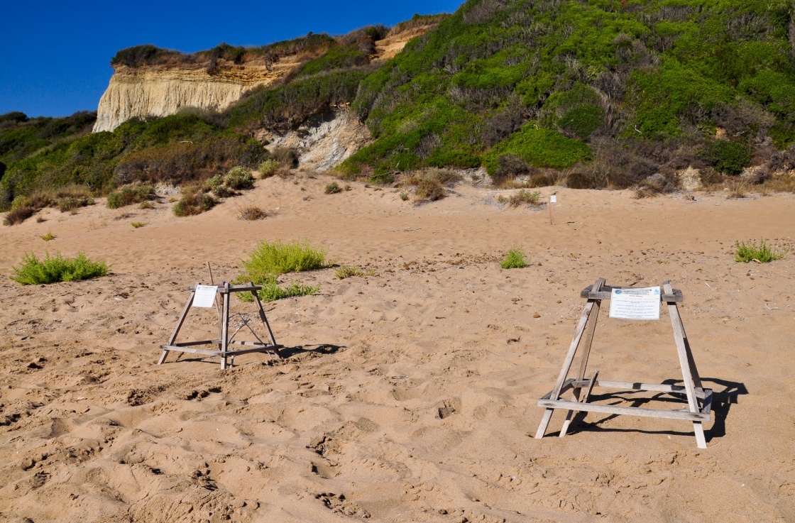 Loggerhead sea turtle nesting site. Greek island of Zakynthos, Gerakas