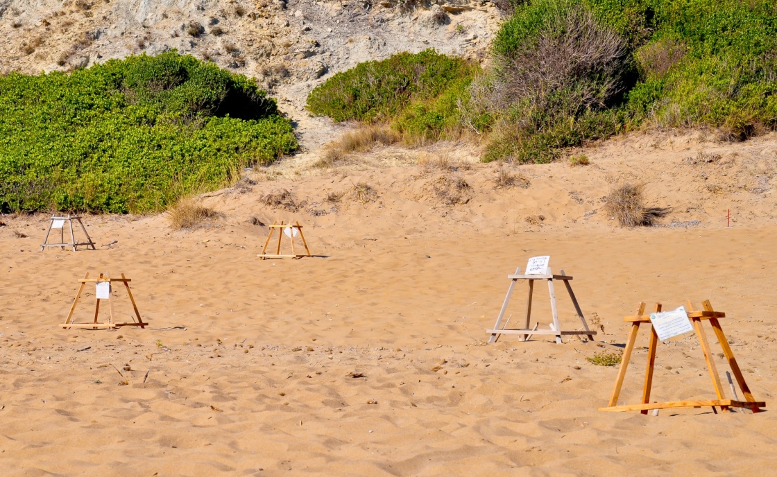 Loggerhead sea turtle nesting site. Special constructions protected turtles' egg on Gerakas - very popular between  tourists Zakynthos Island beach.